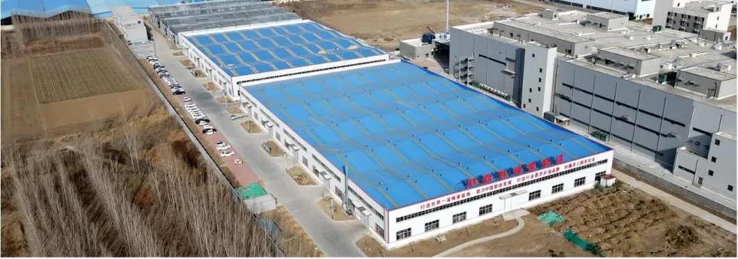 China Factory White Blue Polypropylene Braided Twine