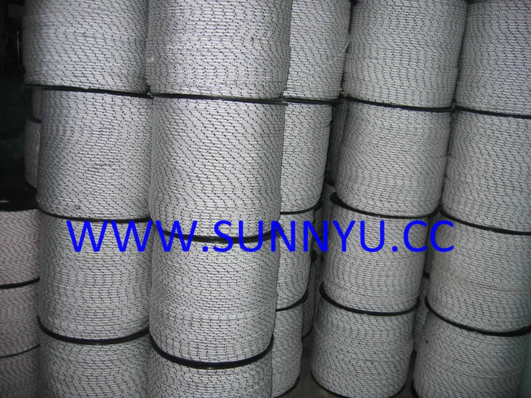 Professional Factory Strong Nylon Starter Rope