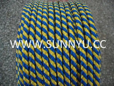 Professional Factory Colorful Strong Paracord